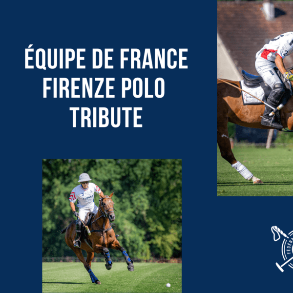 FFP 24 - NEWS
